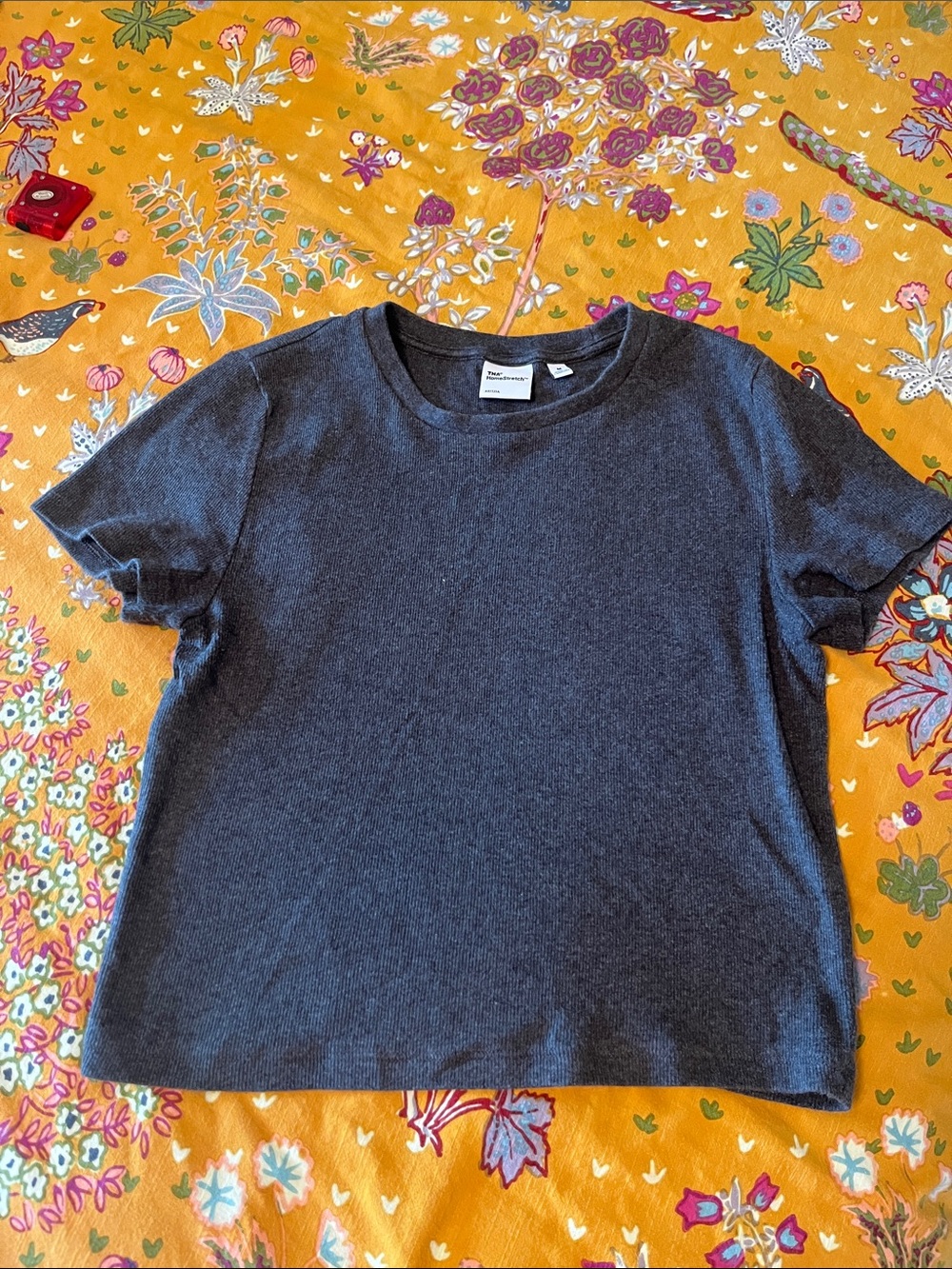Aritzia homestretch waist tee